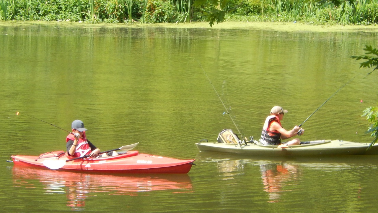 Photo of Others in Somerset