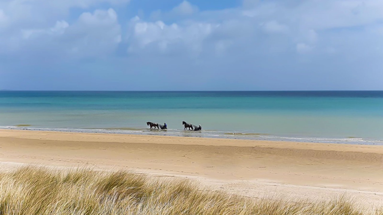 Photo of Others in Sainte-Marie-du-Mont