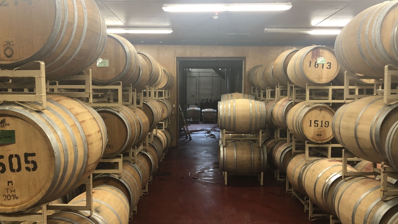 Photo of Others in Little Compton