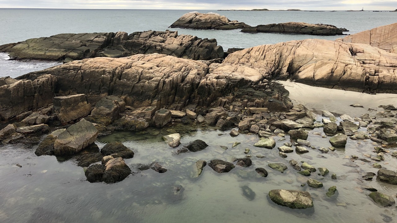 Photo of Outdoor in Little Compton