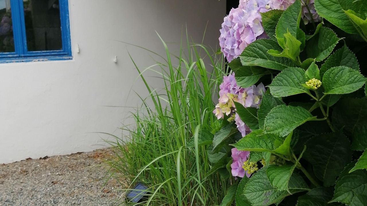Photo of Outdoor in Loctudy