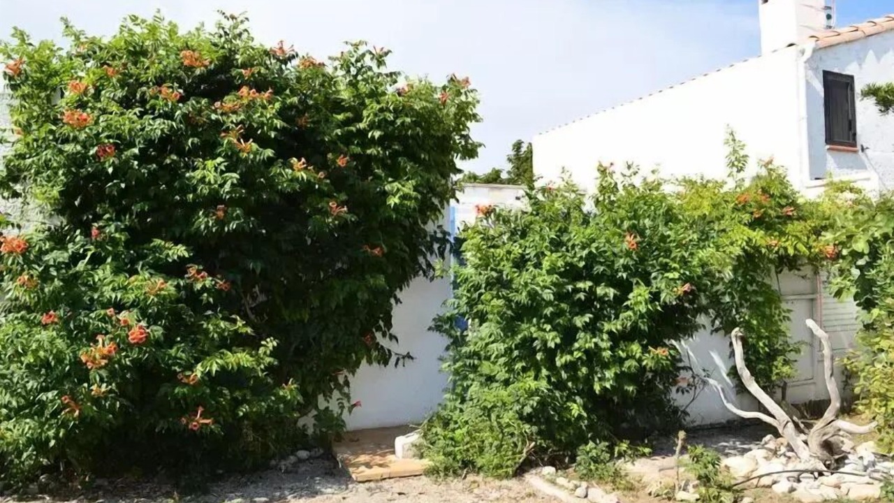 Photo of Outdoor in Leucate
