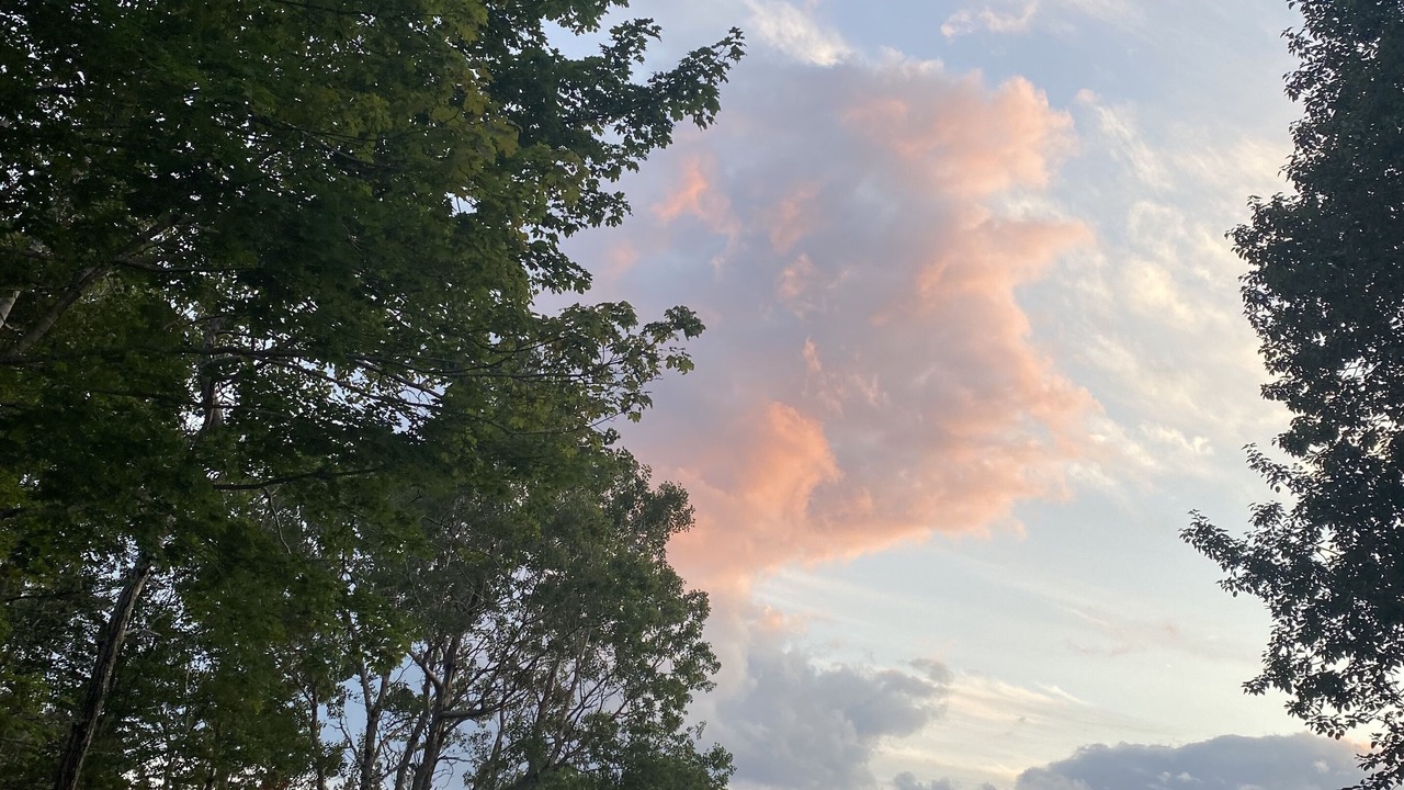 Photo of Outdoor in Sunset