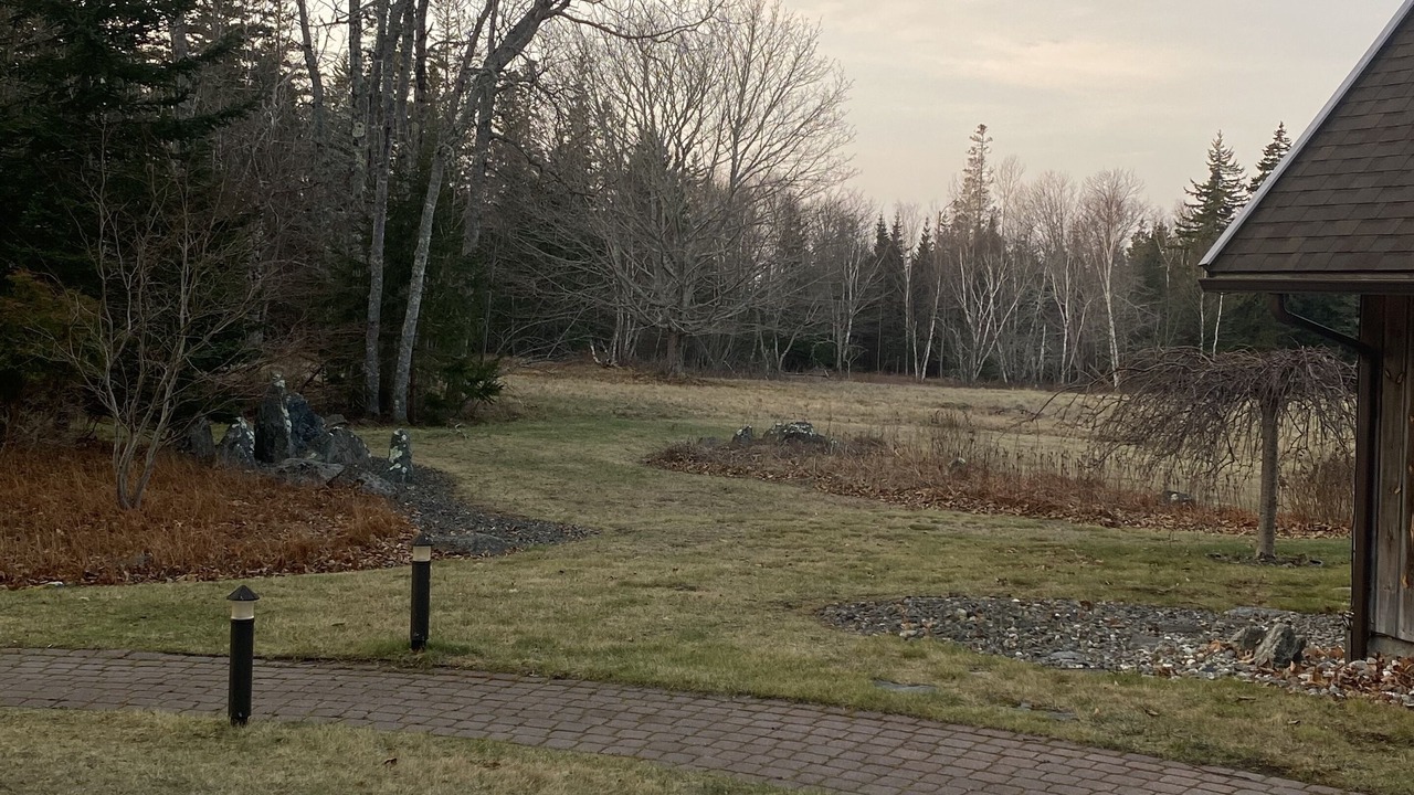 Photo of Outdoor in Sunset