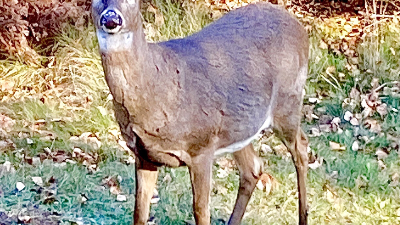 Photo of Outdoor in Sunset