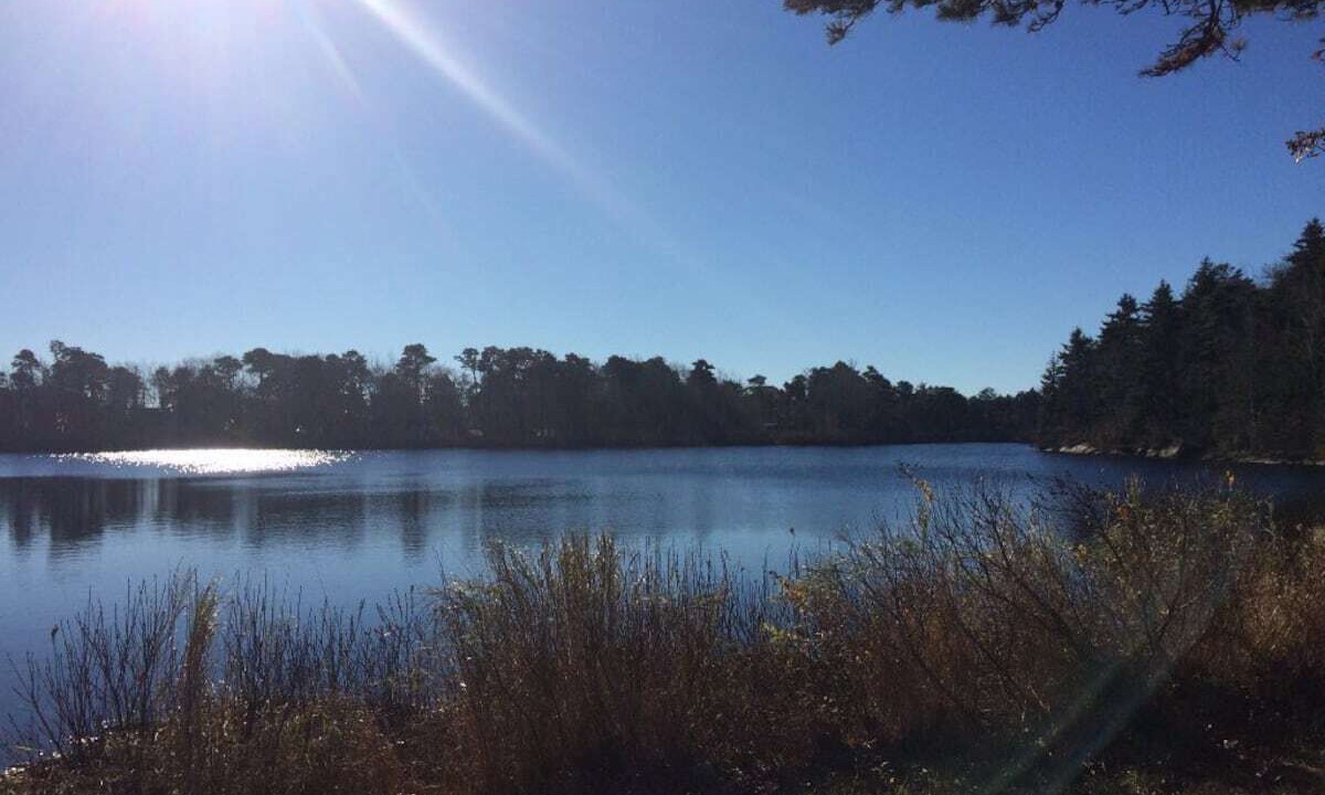Photo of Outdoor in Phippsburg