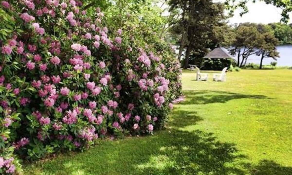 Photo of Outdoor in Phippsburg