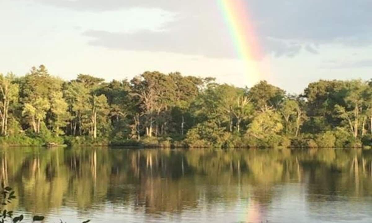 Photo of Outdoor in Phippsburg