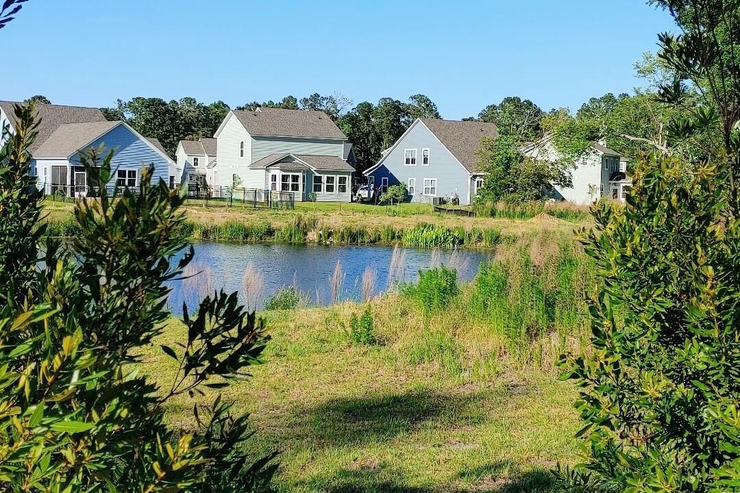 Photo of Outdoor in Palmetto Dunes