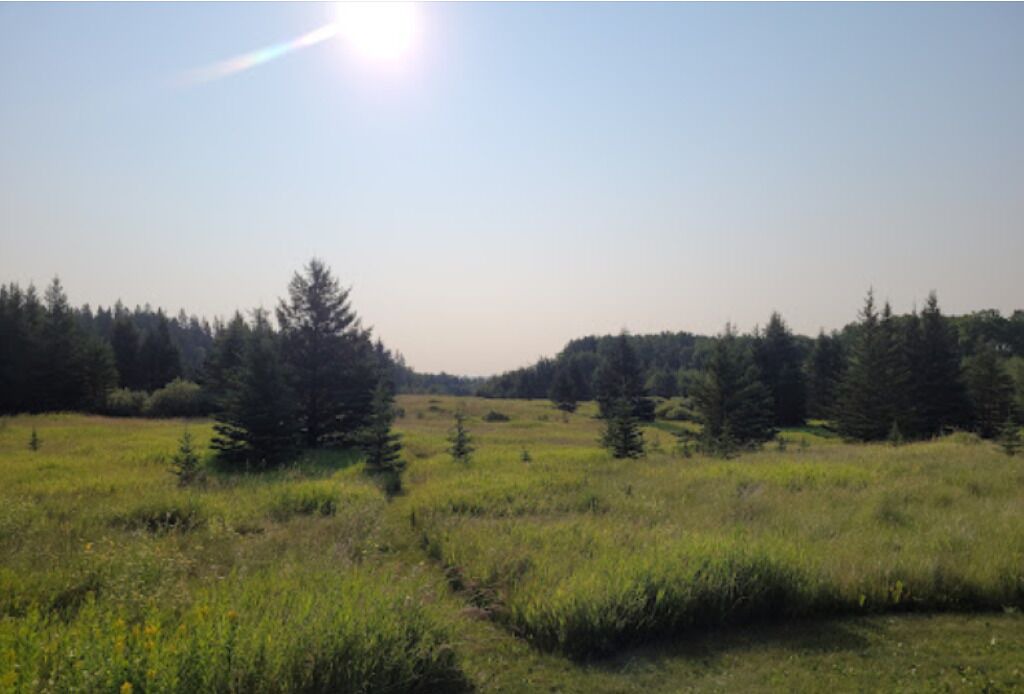 Photo of Outdoor in Erickson