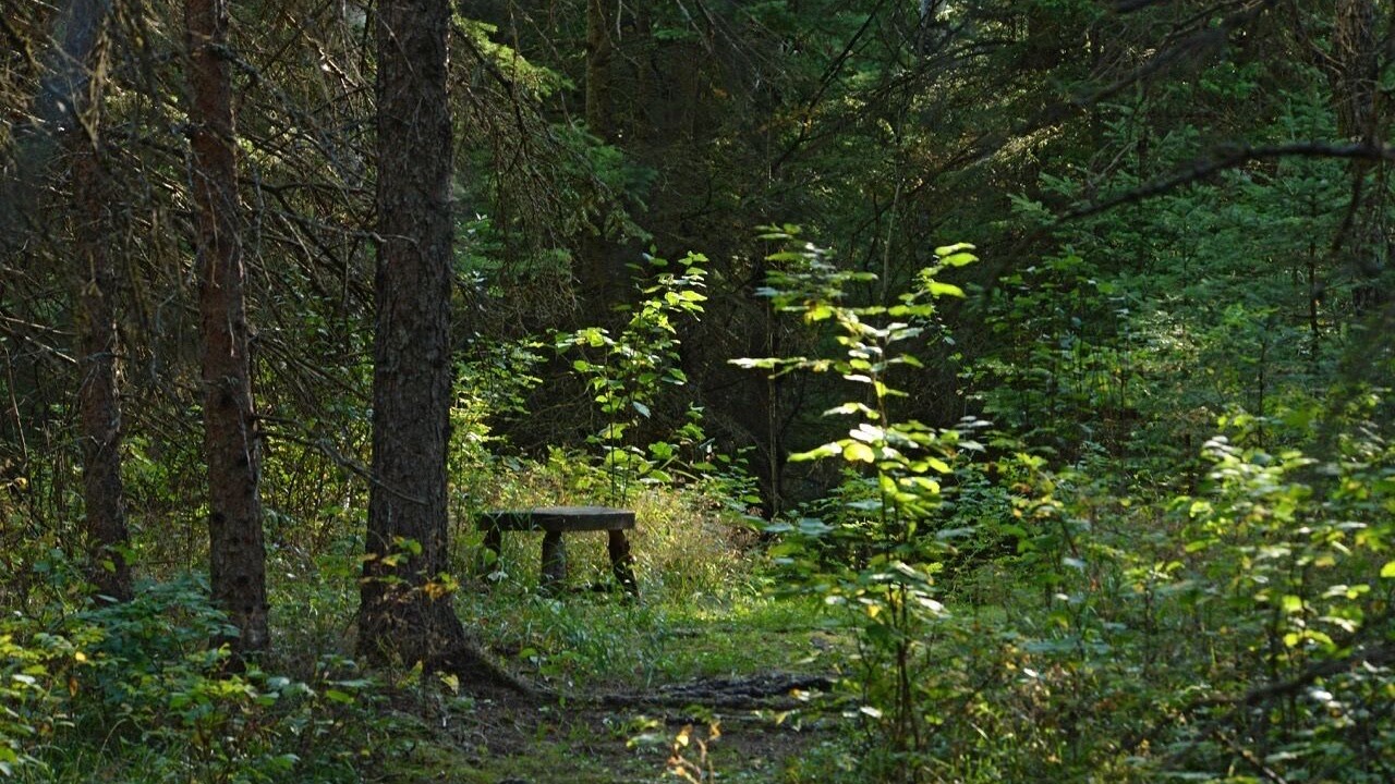 Photo of Outdoor in Erickson