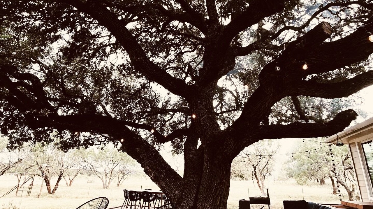 Photo of Patio Balcony in Camp Wood