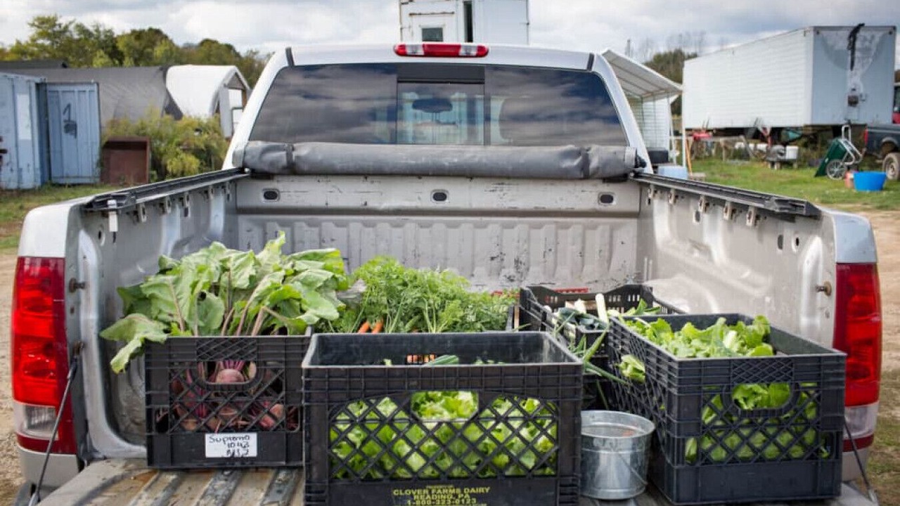 Photo of Others in Coecles Harbor