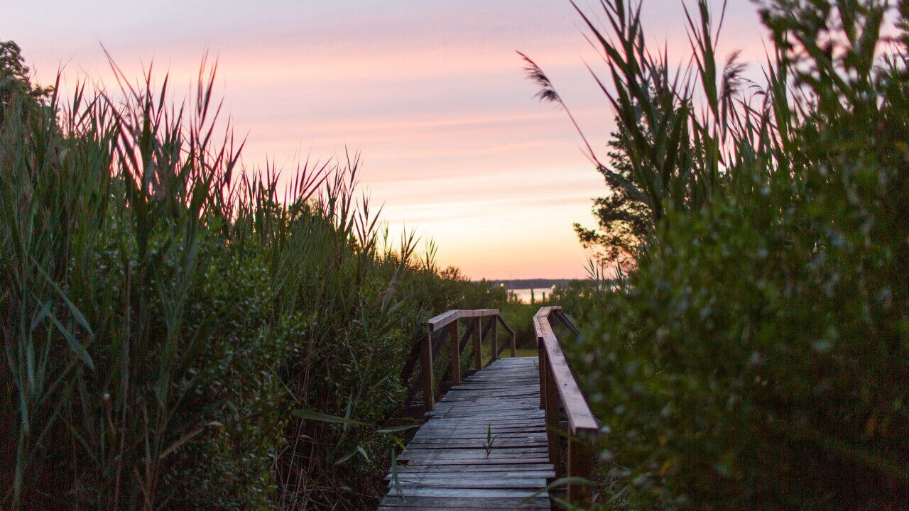 Photo of Others in Coecles Harbor