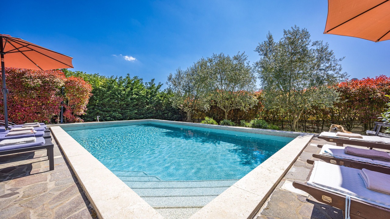 Photo of Outdoor in Muzini