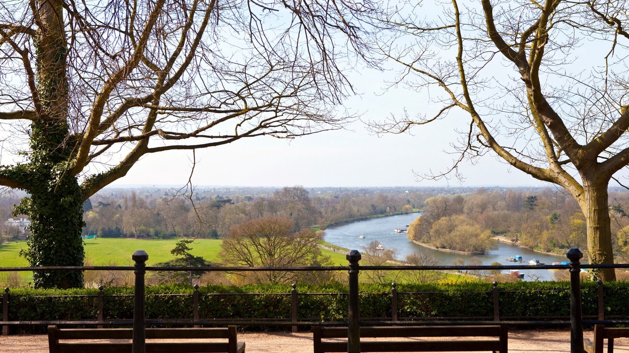 Photo of Others in South Richmond