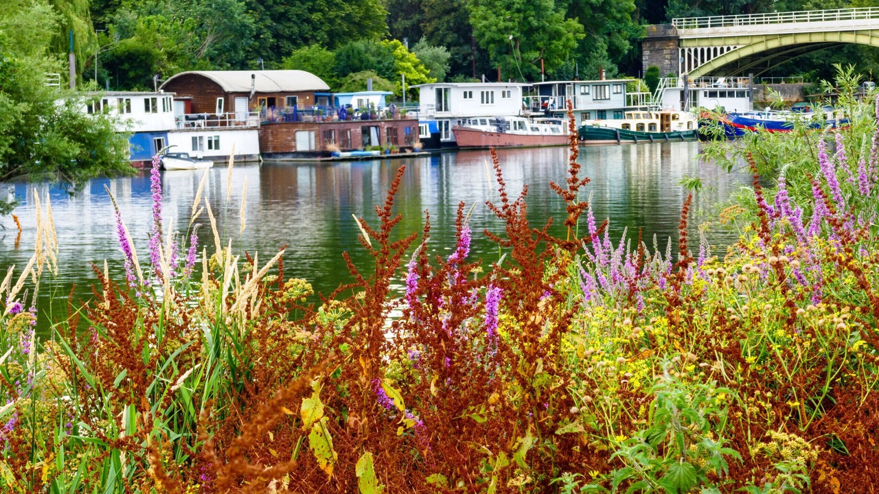 Photo of Others in South Richmond