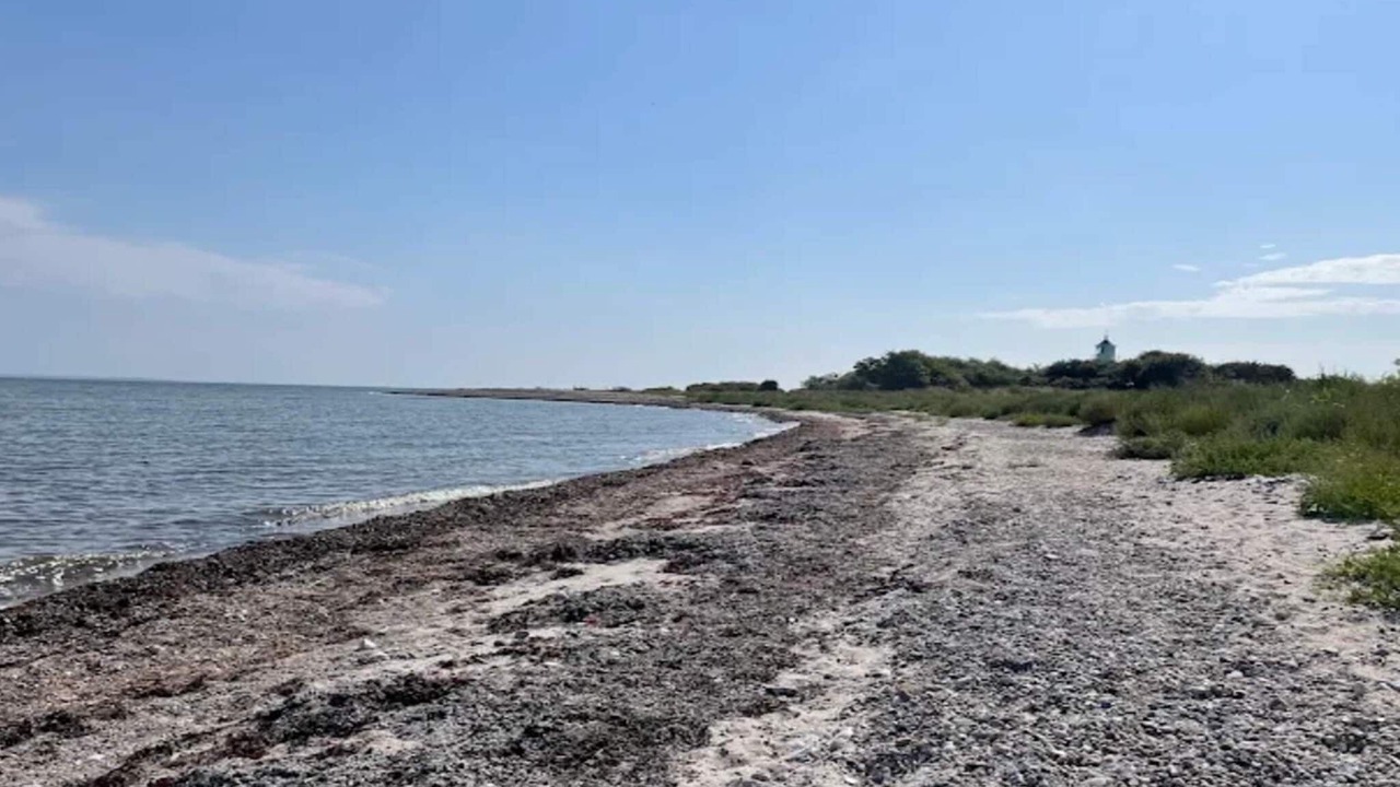 Photo of Others in Nordborg