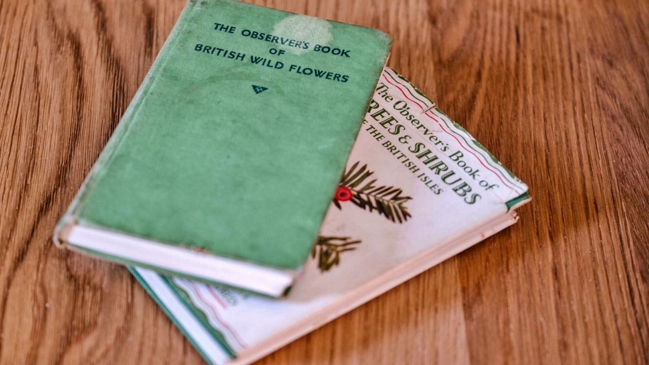 Photo of Others in Lewannick