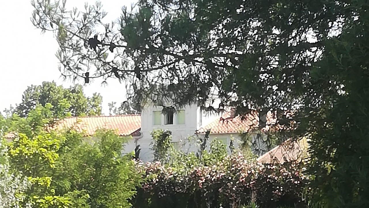 Photo of Outdoor in Sainte-Marie-la-Mer