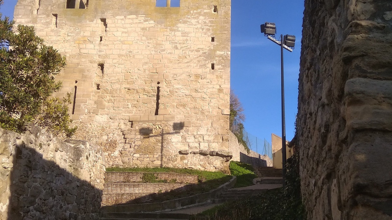 Photo of Others in Conflans-Sainte-Honorine