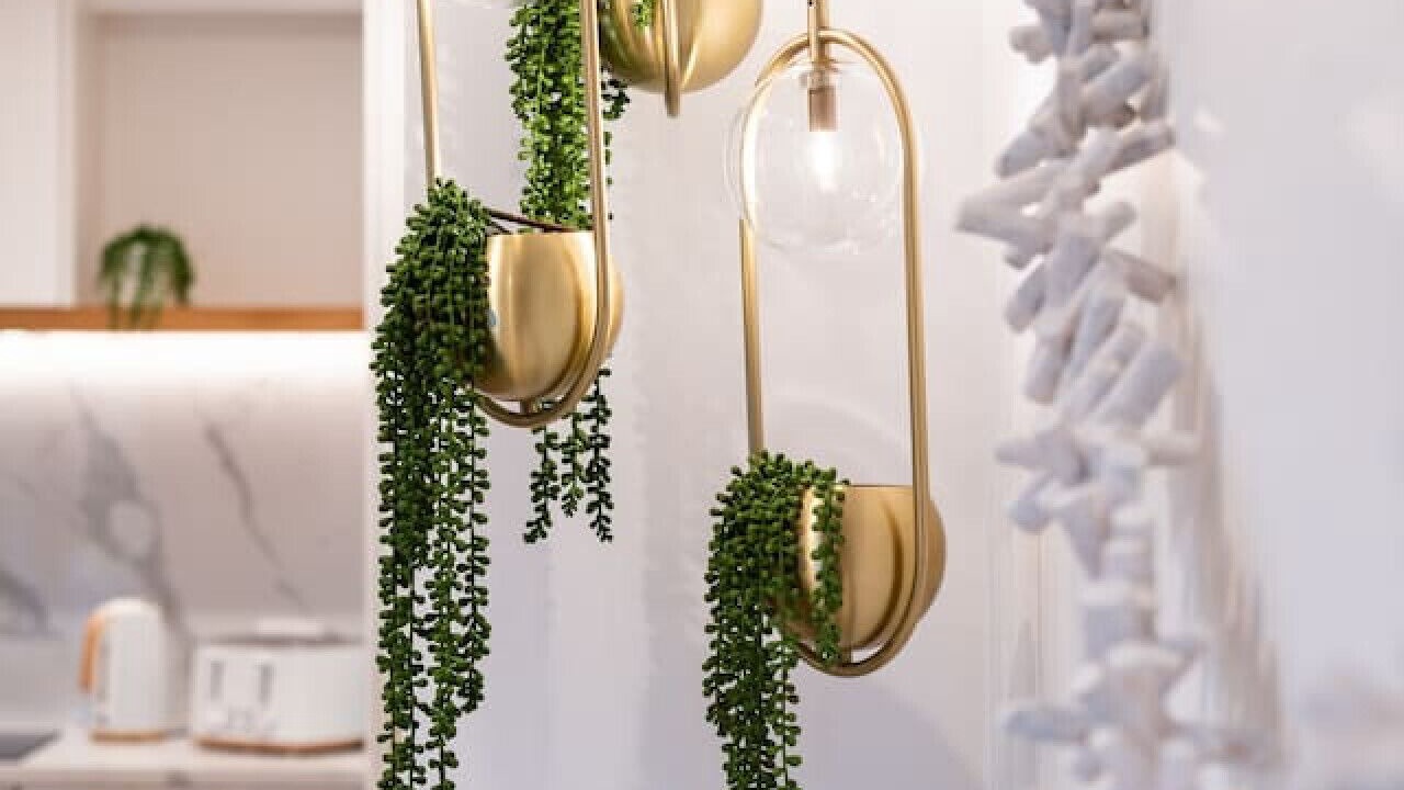 Photo of Others in Mission Bay