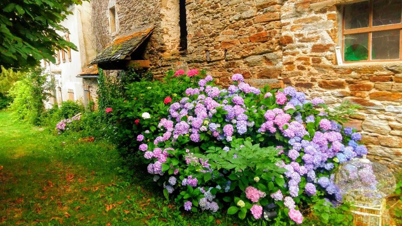 Photo of Outdoor in Quins
