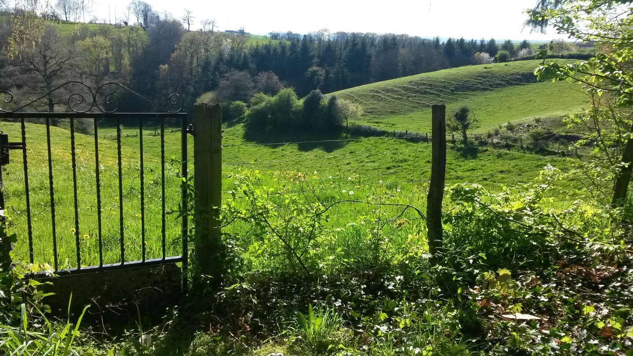 Photo of Outdoor in Quins