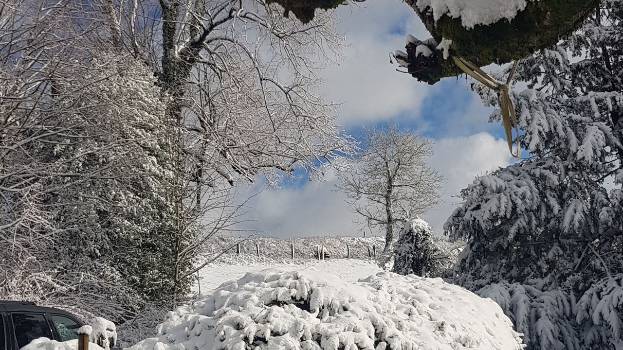 Photo of Outdoor in Quins
