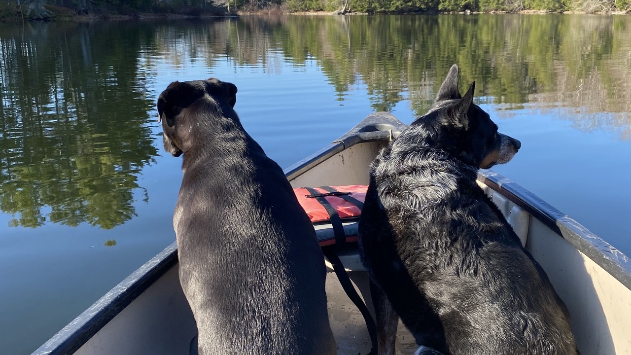 Photo of Others in Ellsworth