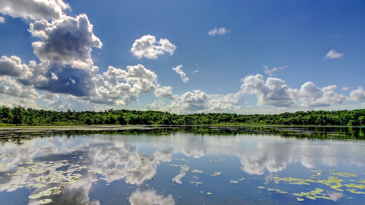 Photo of Outdoor in Pequot Lakes