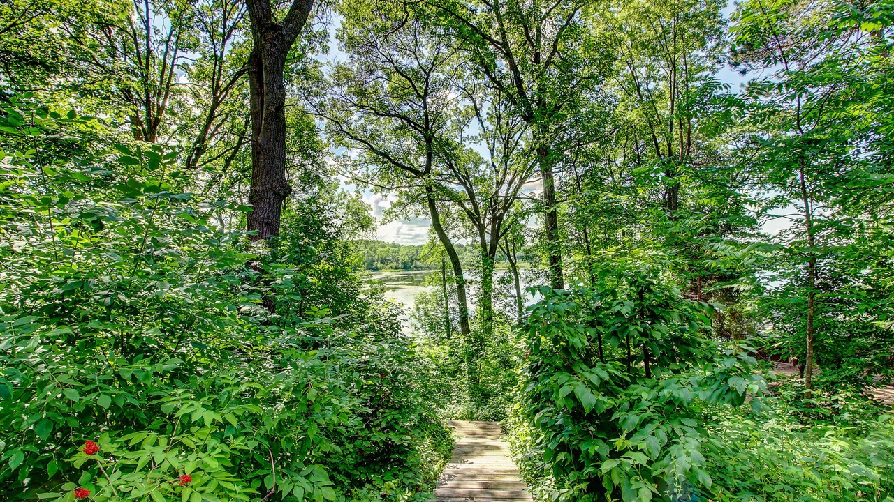 Photo of Outdoor in Pequot Lakes