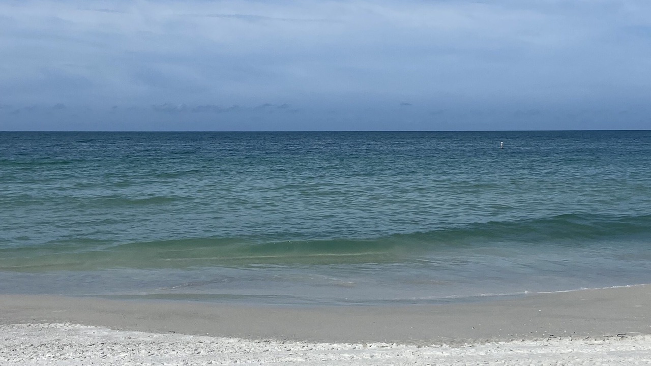 Photo of Others in Whitney Beach