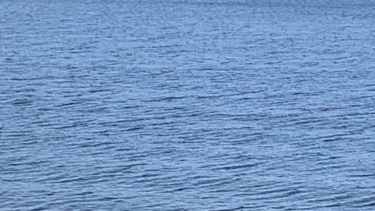 Photo of Others in Lac-Brome
