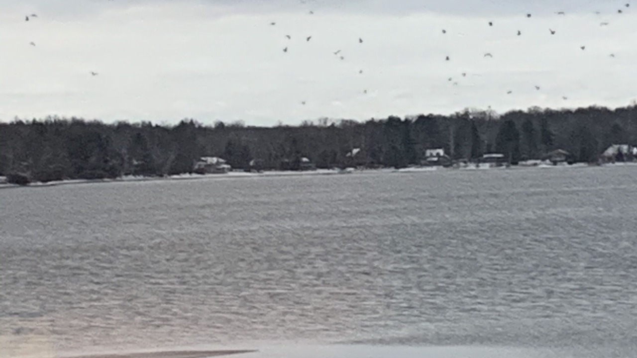 Photo of Others in Lac-Brome