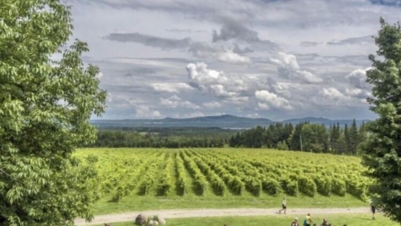 Photo of Others in Lac-Brome