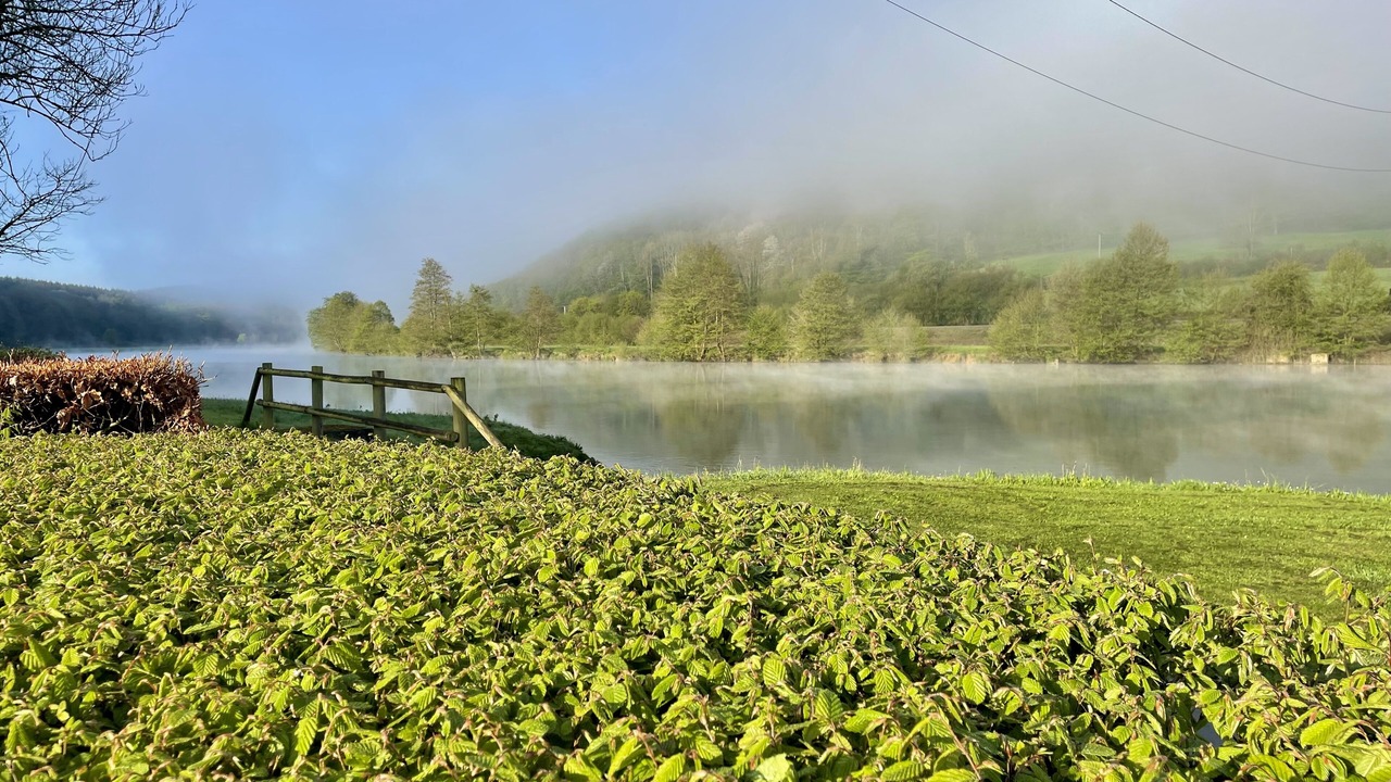 Photo of Others in Vireux-Wallerand