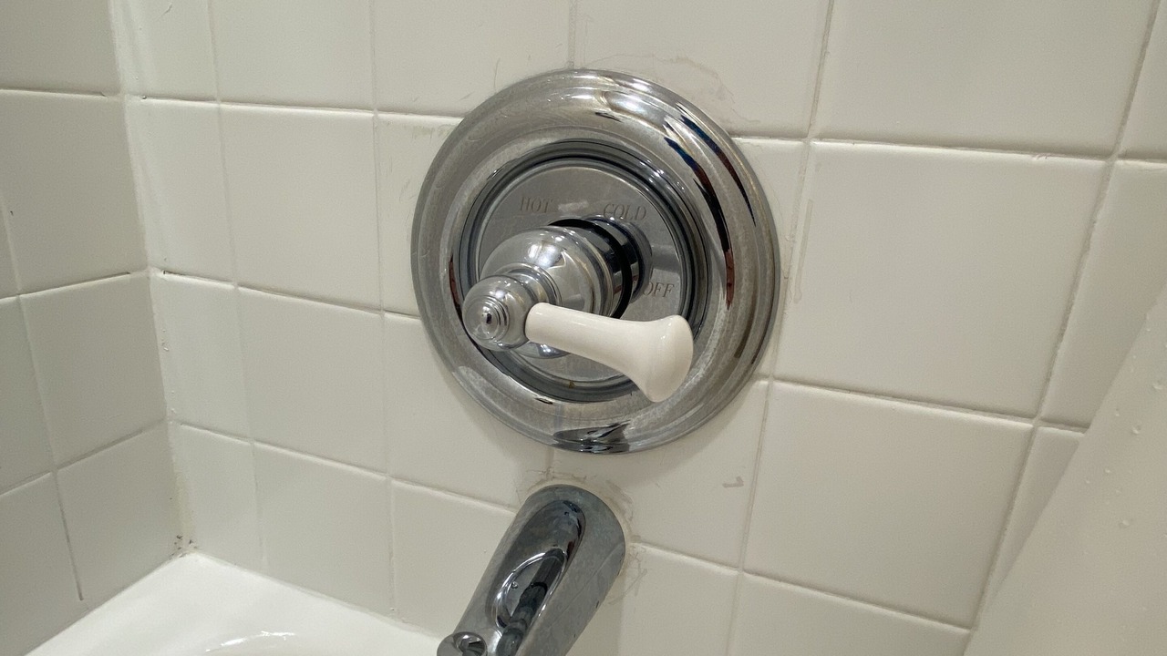 Photo of Bathroom in North Austin Civic Association
