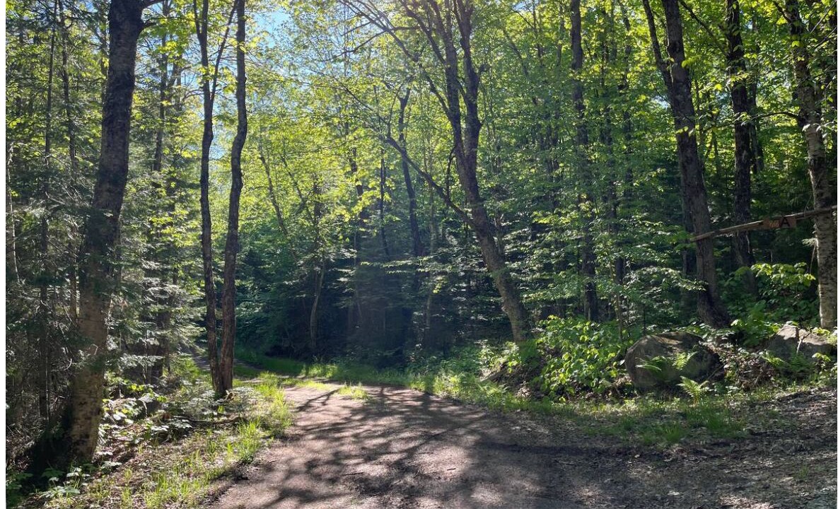 Photo of Others in Hopkinton