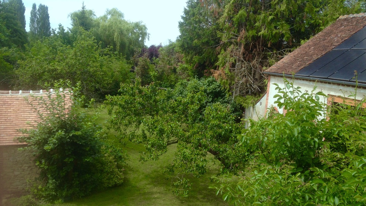 Photo of Outdoor in Chevillon-sur-Huillard