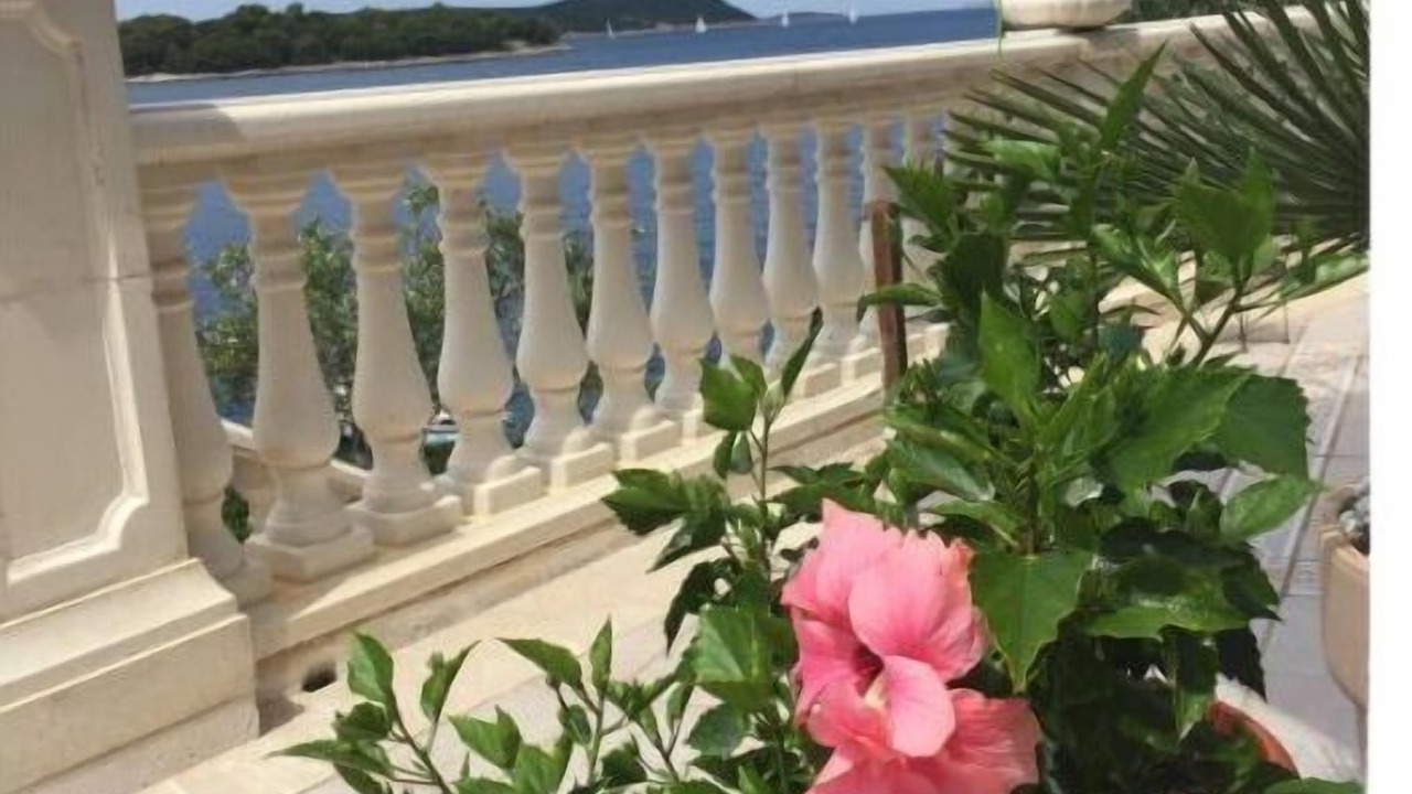 Photo of Outdoor in Maslinica