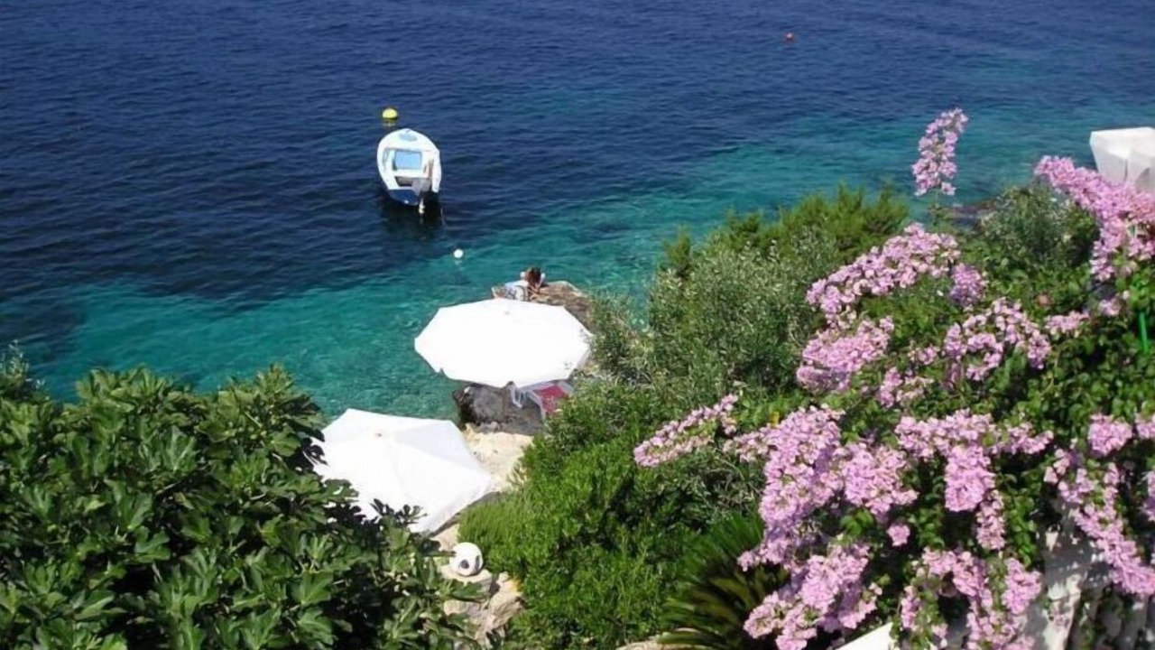 Photo of Outdoor in Maslinica