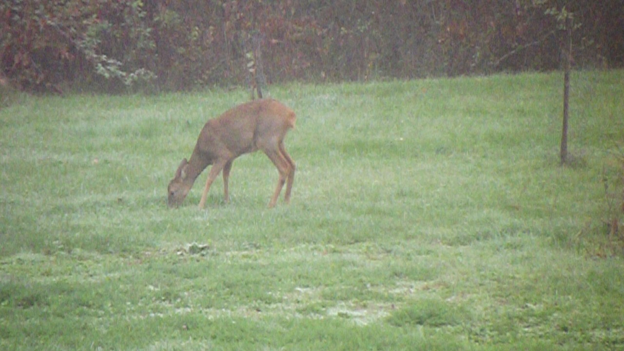 Photo of Outdoor in Salignac-Eyvignes