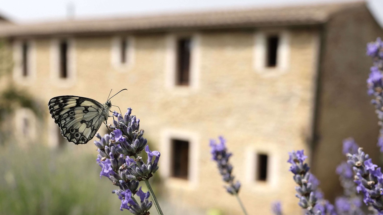 Photo of Outdoor in Plavilla