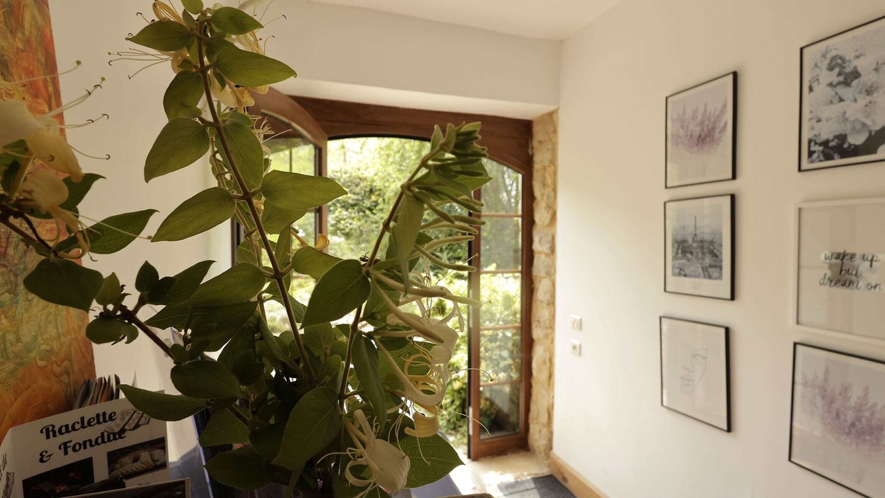 Photo of Others in Plavilla