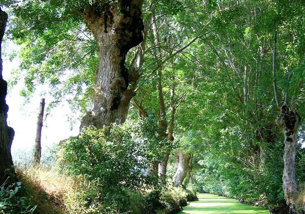 Photo of Outdoor in Oulmes