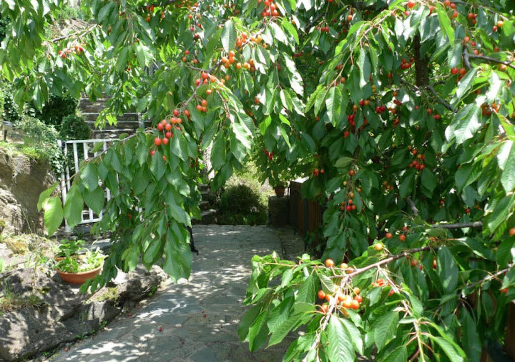 Photo of Outdoor in Senergues