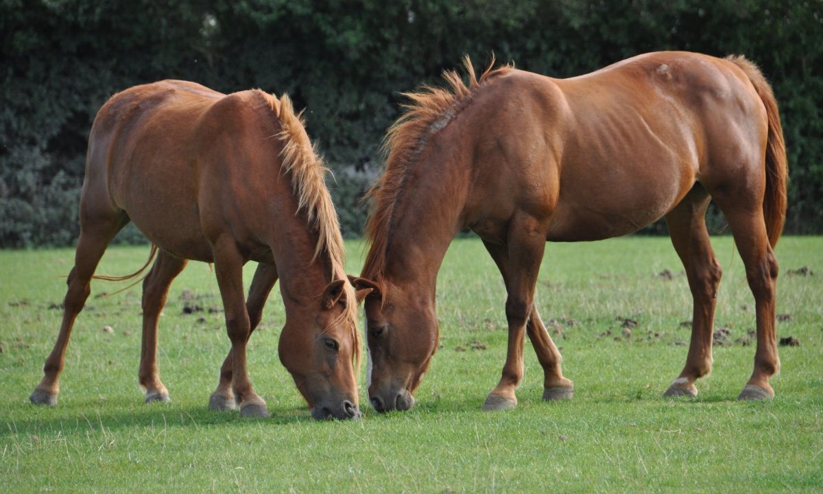 Photo of Outdoor in Pleudaniel