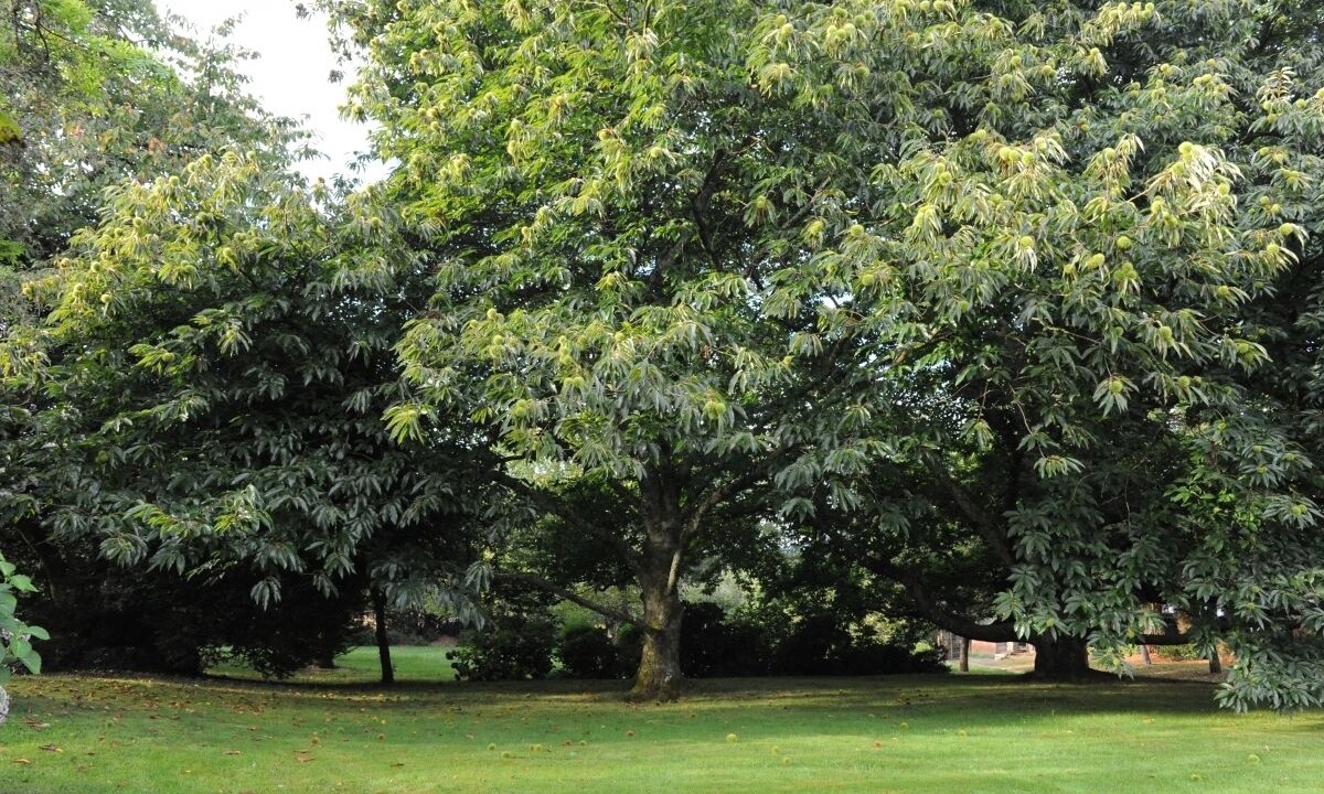 Photo of Outdoor in Quistinic