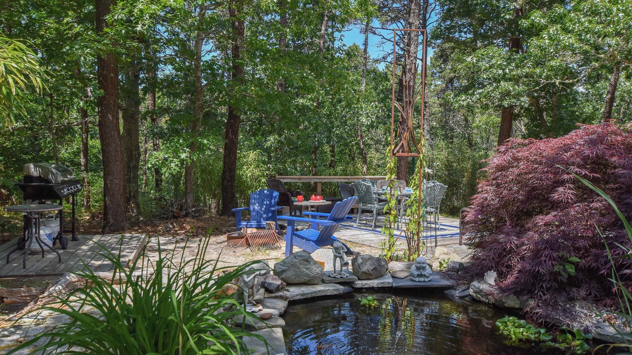 Photo of Outdoor in Wellfleet